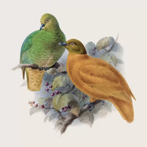 Falinaptár képes lemeznaptár 300x300mm, Birds in Art Realsystem 2026.