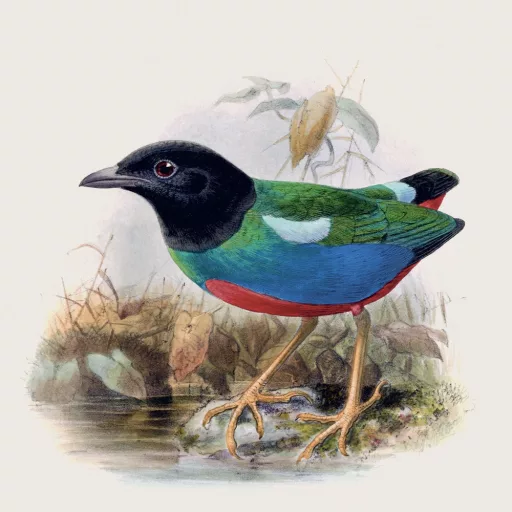 Falinaptár képes lemeznaptár 300x300mm, Birds in Art Realsystem 2026.