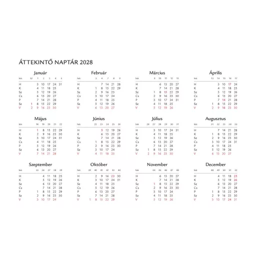 Asztali naptár spirálozott mini Kisvakond Realsystem 2024.