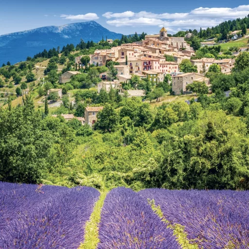 Falinaptár képes lemeznaptár 300x300mm, Provence Realsystem 2024.