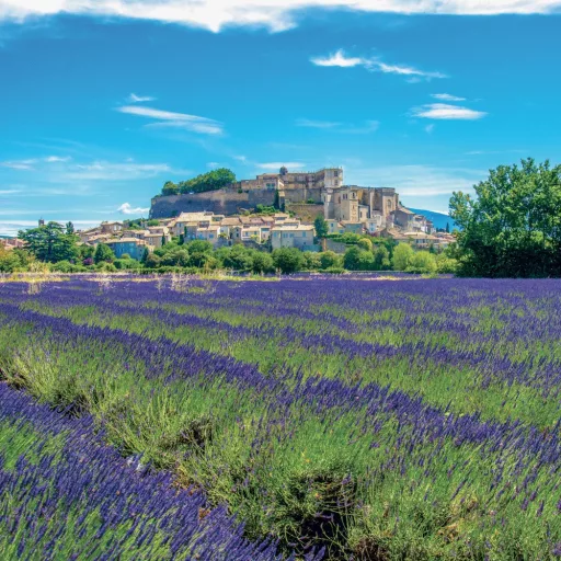 Falinaptár képes lemeznaptár 300x300mm, Provence Realsystem 2024.