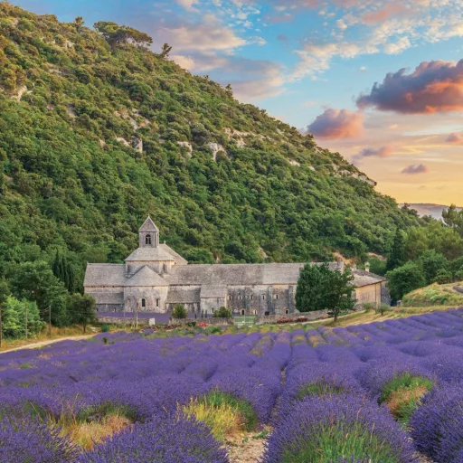 Falinaptár képes lemeznaptár 300x300mm, Provence Realsystem 2024.