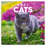   Falinaptár képes lemeznaptár 300x300mm, Cats Realsystem 2024.