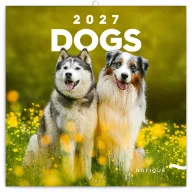   Falinaptár képes lemeznaptár 300x300mm, Dogs Realsystem 2024.