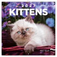   Falinaptár képes lemeznaptár 300x300mm, Kittens Realsystem 2025.