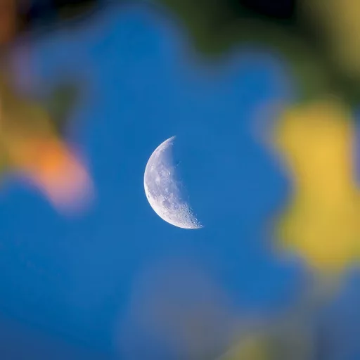 Falinaptár képes lemeznaptár 300x300mm, The Moon Realsystem 2024.