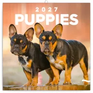   Falinaptár képes lemeznaptár 300x300mm, Puppies Realsystem 2026.