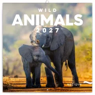   Falinaptár képes lemeznaptár 300x300mm, Wild Africa Realsystem 2024.