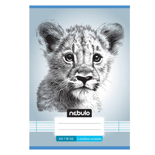 Füzet, A5, 2. osztályos vonalas, 16-32, Vagány minták, 16 db/csomag Nebulo