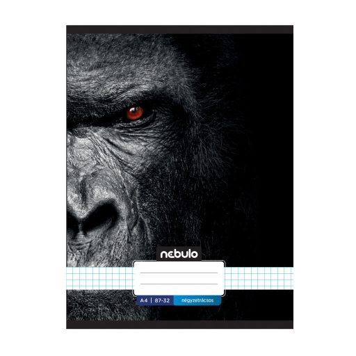 Füzet, A4, kockás, 87-32, Xtreme minták, 12 db/csomag Nebulo