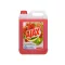Általános tisztítószer 5 liter Ajax Flora Fiesta Red Flowers