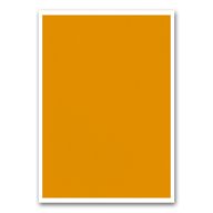 Etikett címke, 210x297mm, 1címke/lap narancs Bluering®